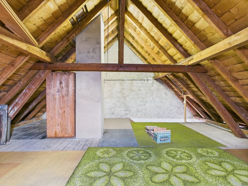 5½ Zimmer. Garten. Und viel Potenzial. (15)