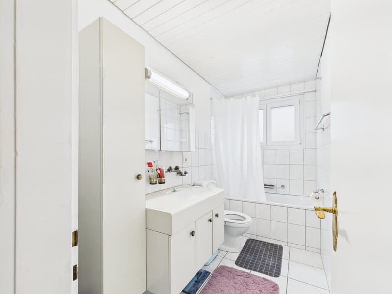 3½-Zimmerwohnung mit grossem Gartensitzplatz – Wohnen direkt an der Aare (3)