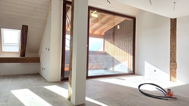 Splendide appartement duplex de 3.5 pièces avec vue  lac (Lot 6) (4)