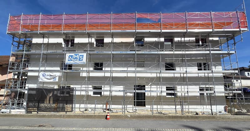 Splendide appartement de 4,5 pièces (Lot 1.1) (4)