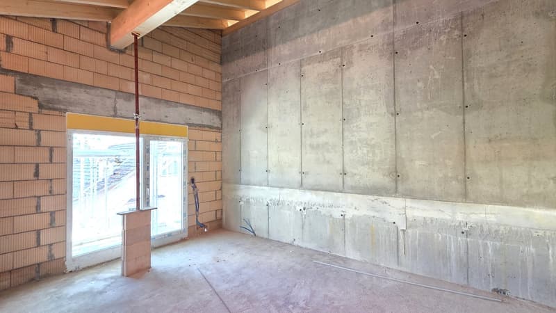 unfinished room, concrete walls, brick walls, glass door, unfinished floor
