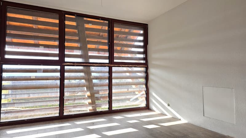 Joli appartement de 2.5 pièces avec grand balcon (Lot 3) (7)