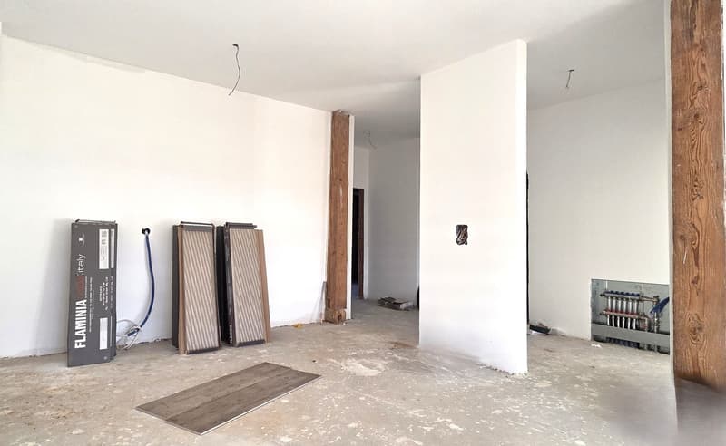 Bel appartement de 3,5 pièces (Lot 4) (1)