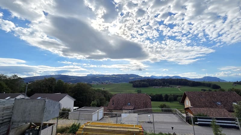 Somptueuse villa individuelle de 5,5 pièces (215) et (225) (1)