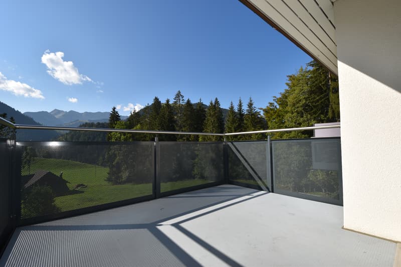 4011_Balkon