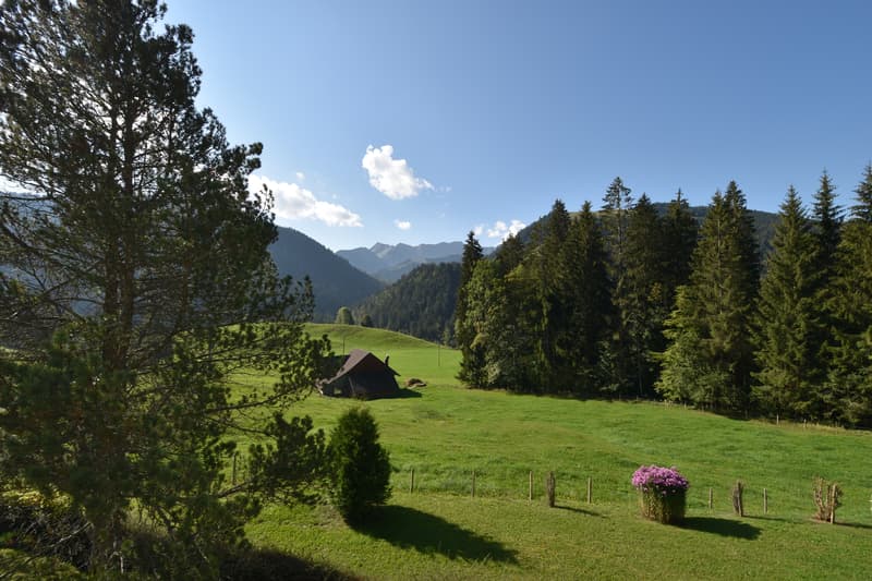 4011_Aussicht