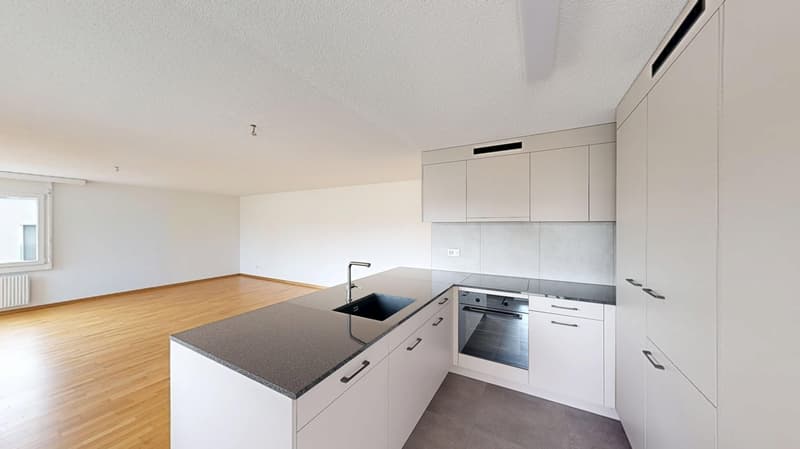 35-ZW-Parkstrasse-4a-9430-St-Margrethen-23263131-03022026_114945