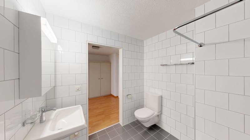 25-ZW-Hauptstrasse-17ab-9436-Balgach-23412121-05042026_095233