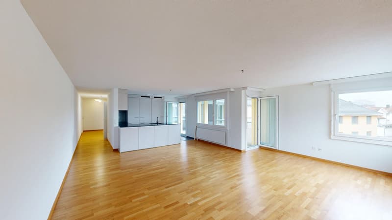 35-ZW-Parkstrasse-4a-9430-St-Margrethen-23263131-03022026_114616