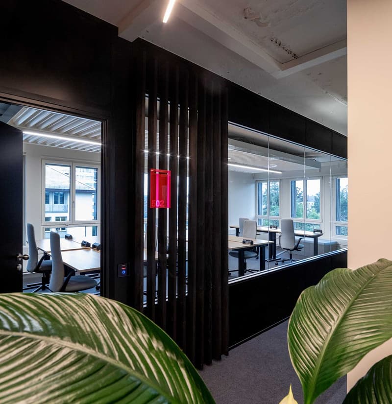Zürichs luxuriösestes Co-Working: Büros für 2 bis 20 Personen verfügbar (6)