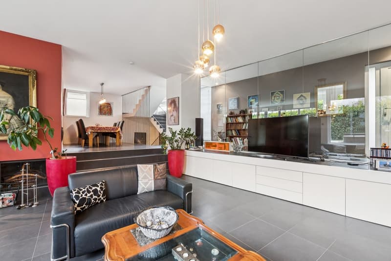 Belle maison individuelle avec grand jardin et jacuzzi (4)