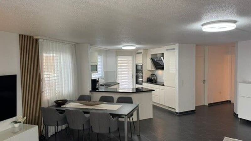 Magnifique appartement lumineux avec jardin (3)