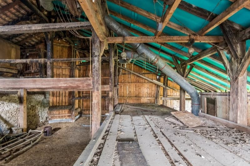 Redonner vie à un lieu chargé d'histoire - au coeur du Jura Bernois (12)