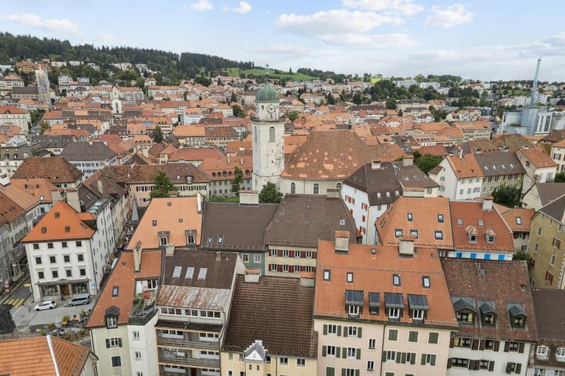Immeuble mixte - Rendement net de 6 %, locataires en place (1)