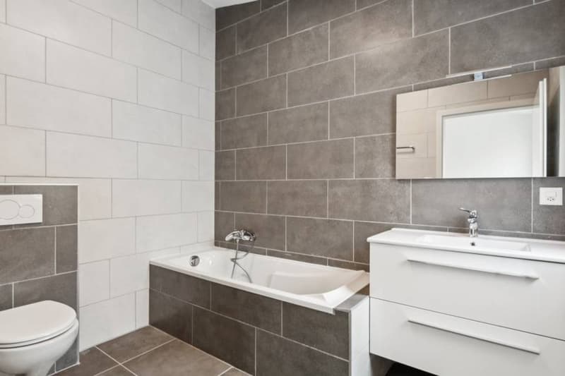 L'Excellence Accessible : Votre Villa Neuve dès CHF 800.- par mois (10)