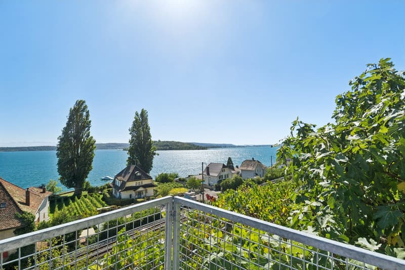 LIGNES PURS & HISTOIRE VIGNERONNE AU BORD DU LAC DE BIENNE (12)