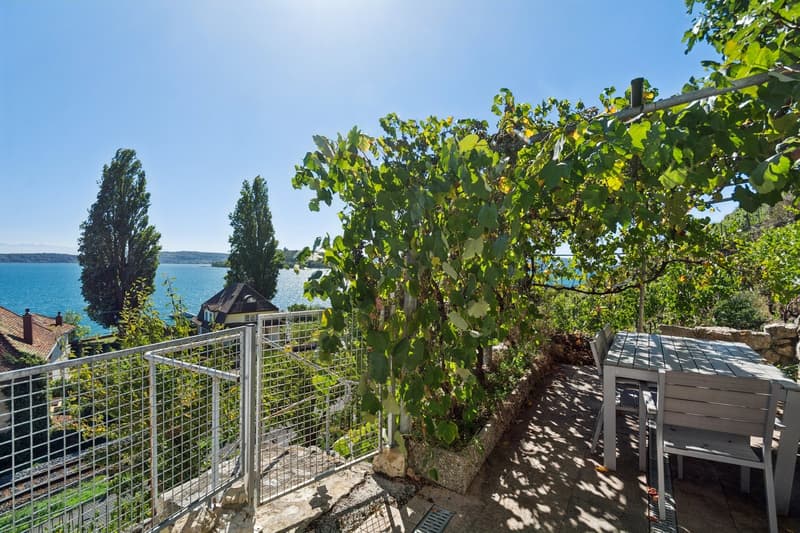 LIGNES PURS & HISTOIRE VIGNERONNE AU BORD DU LAC DE BIENNE (13)