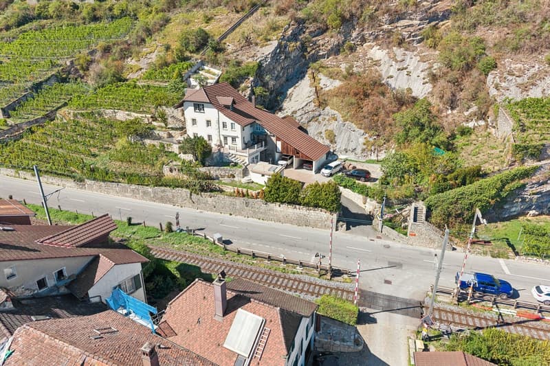 LIGNES PURS & HISTOIRE VIGNERONNE AU BORD DU LAC DE BIENNE (1)
