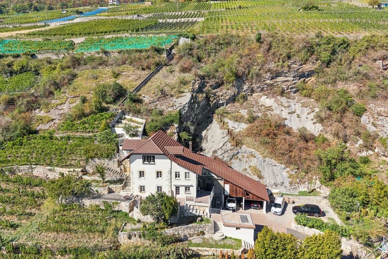LIGNES PURS & HISTOIRE VIGNERONNE AU BORD DU LAC DE BIENNE (4)