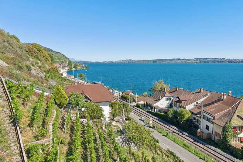 LIGNES PURS & HISTOIRE VIGNERONNE AU BORD DU LAC DE BIENNE (3)