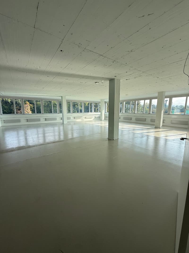 Espace commercial polyvalent à Kloten à louer (1)