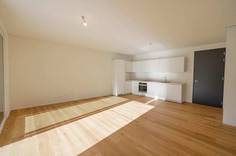 Open-concept studio apartment with hardwood floors, white walls, modern kitchen with white cabinets and appliances, and a bright, spacious living area.