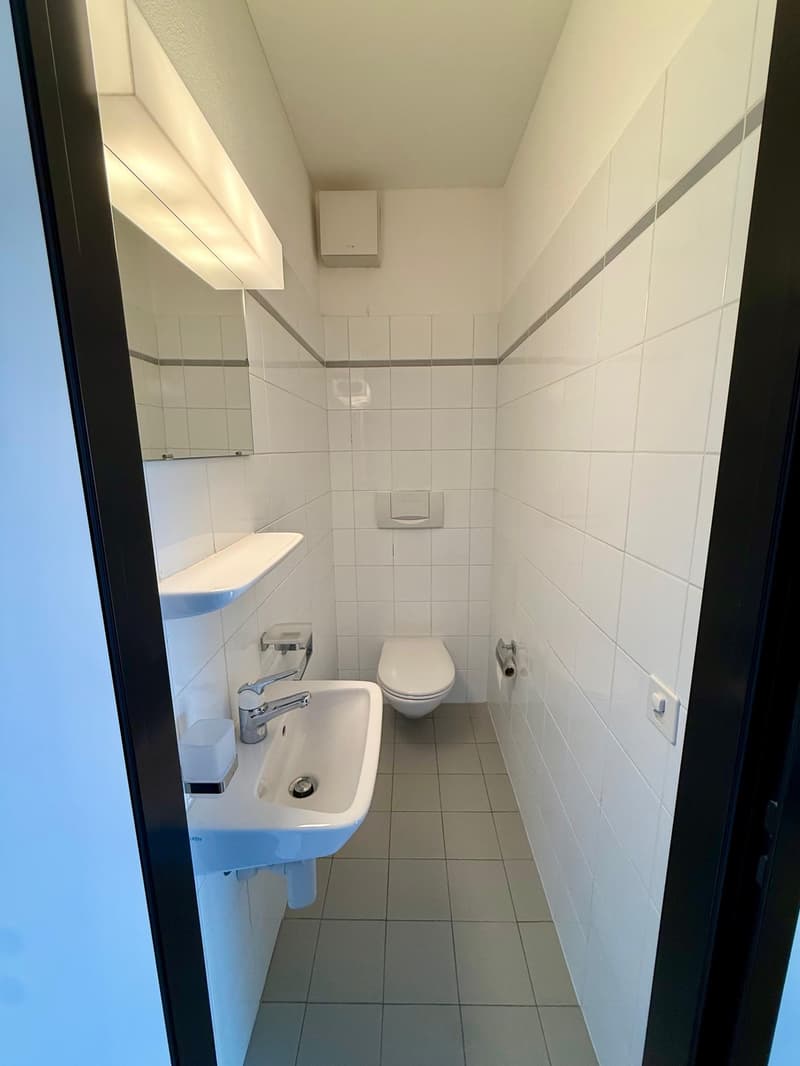 small bathroom with toilet, sink, and mirror