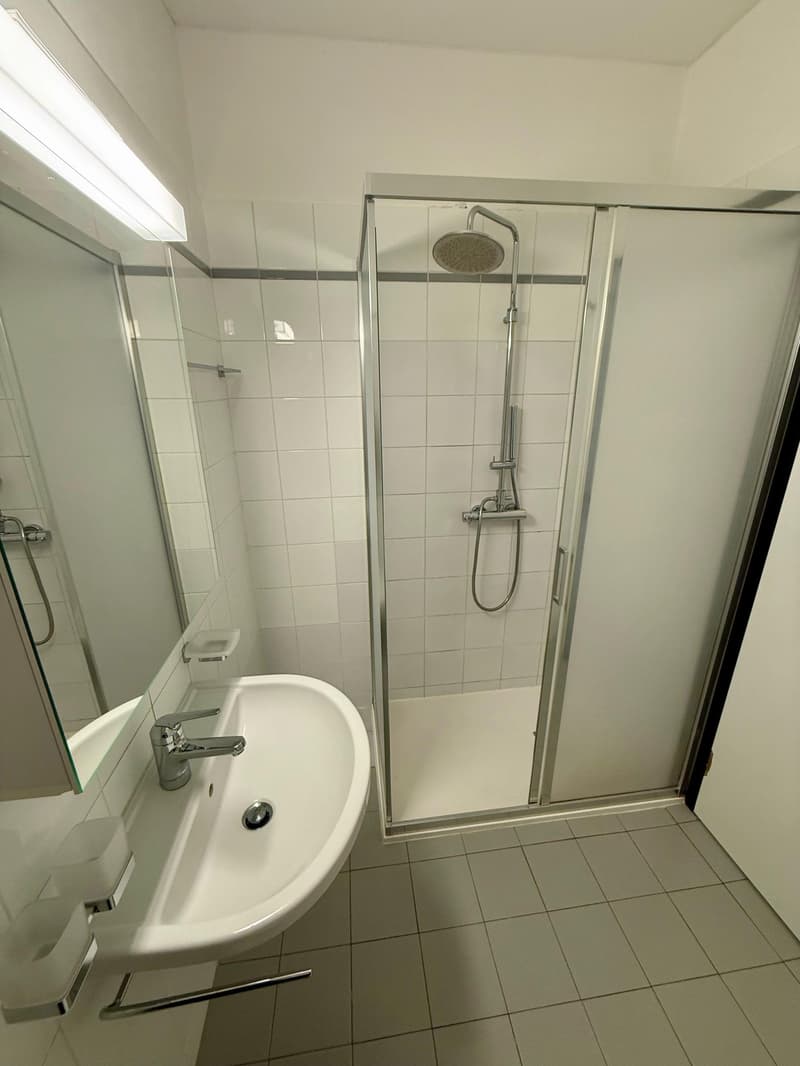 modern bathroom with white tiles, glass shower enclosure, white sink, mirror, and a shower head
