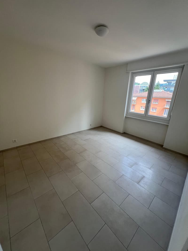 Lugano - Affittasi 2.5 locali completamente ristrutturato (3)