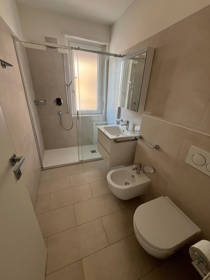 Lugano - Affittasi 2.5 locali completamente ristrutturato (2)