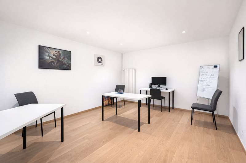 Bureaux modernes au cœur de Genève (13)