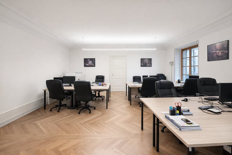 Bureaux modernes au cœur de Genève (8)