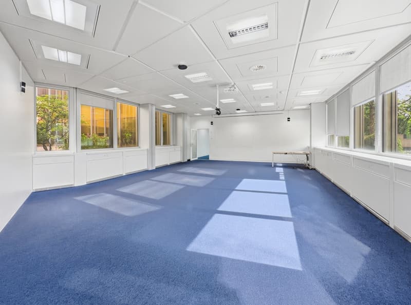 empty room, white walls, blue carpet, large windows, ceiling lights