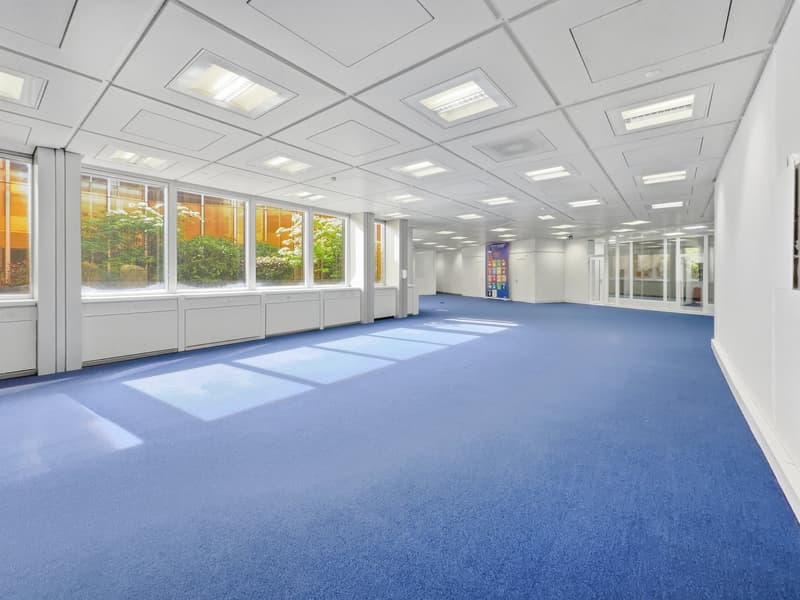 Empty room with white walls, blue carpet, large windows, ceiling lights