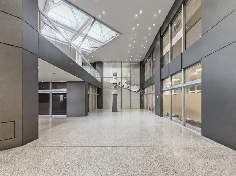 modern building, large entrance hall, glass walls, white ceiling, gray walls, large windows, skylight