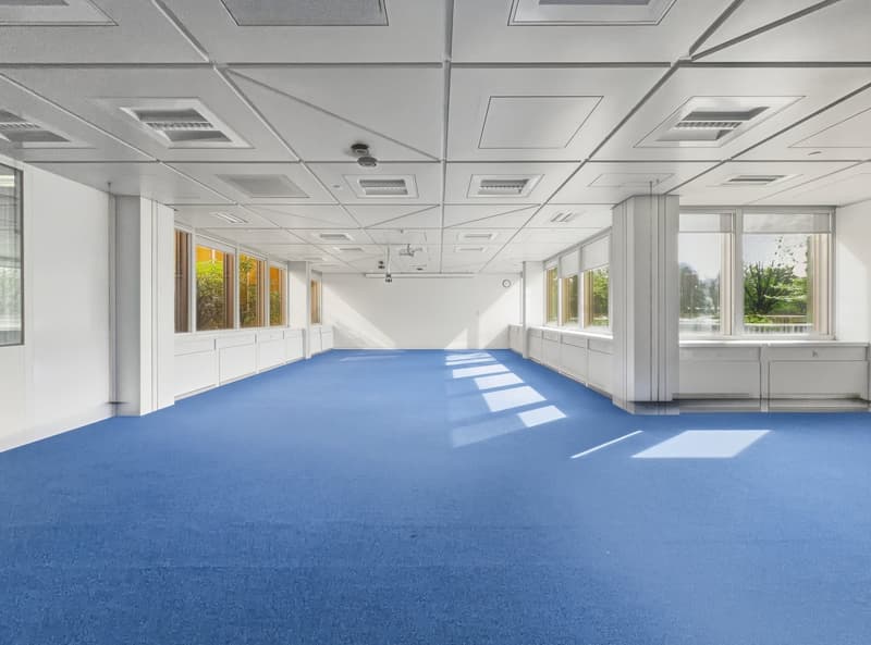 Empty room with white walls, blue carpet, large windows, ceiling lights