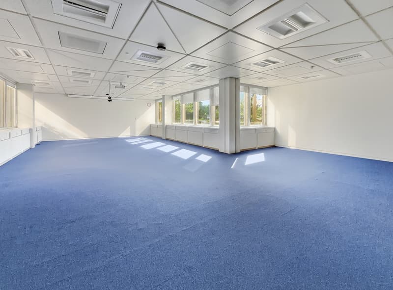 Empty room with white walls, blue carpet, large windows, ceiling with air vents