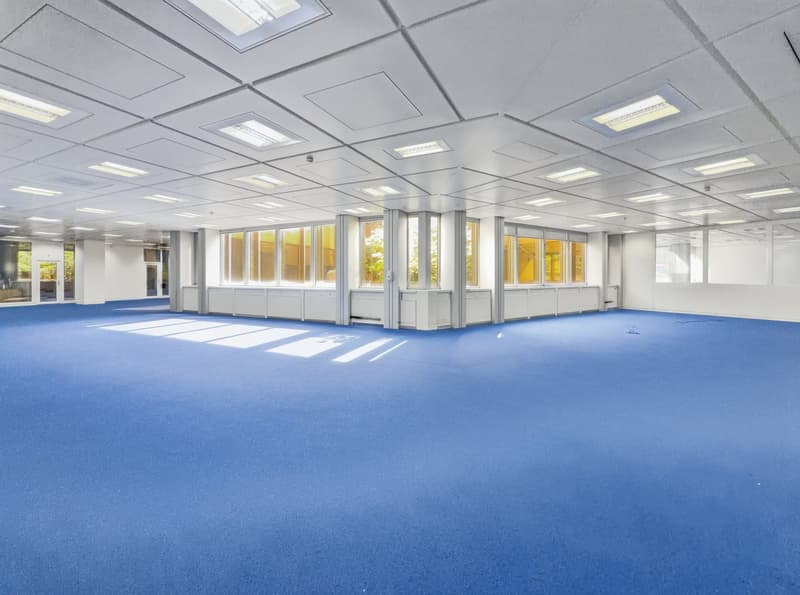 Empty room with blue carpet, white walls, large windows, and ceiling lights