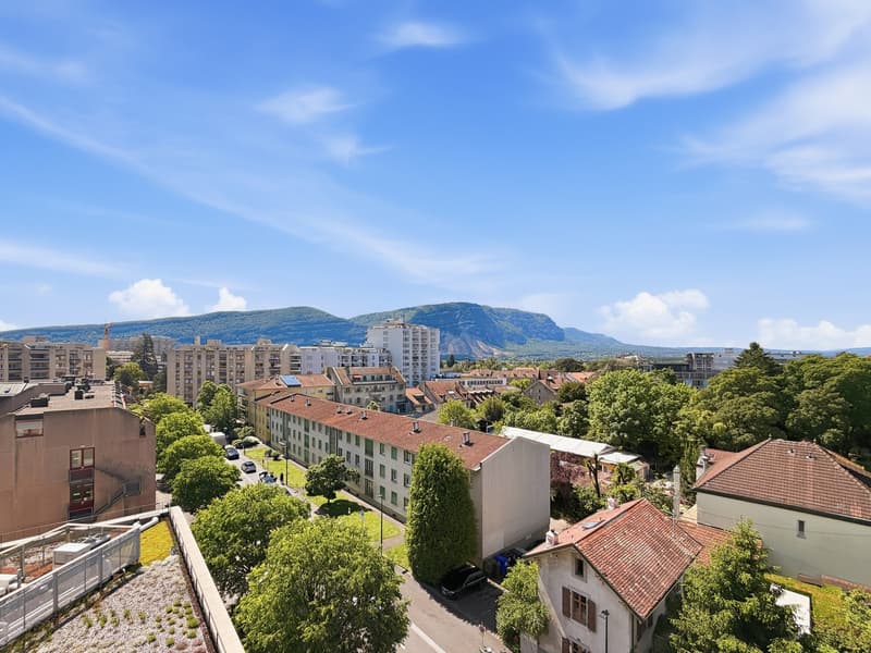 Magnifique 4 pièces de haut standing avec terrasse et vue Salève – Chêne-Bourg (6)