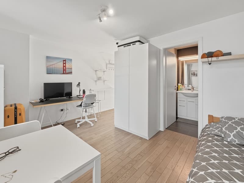 PROCHE GARE CORNAVIN - Appartement entièrement meublé (2)