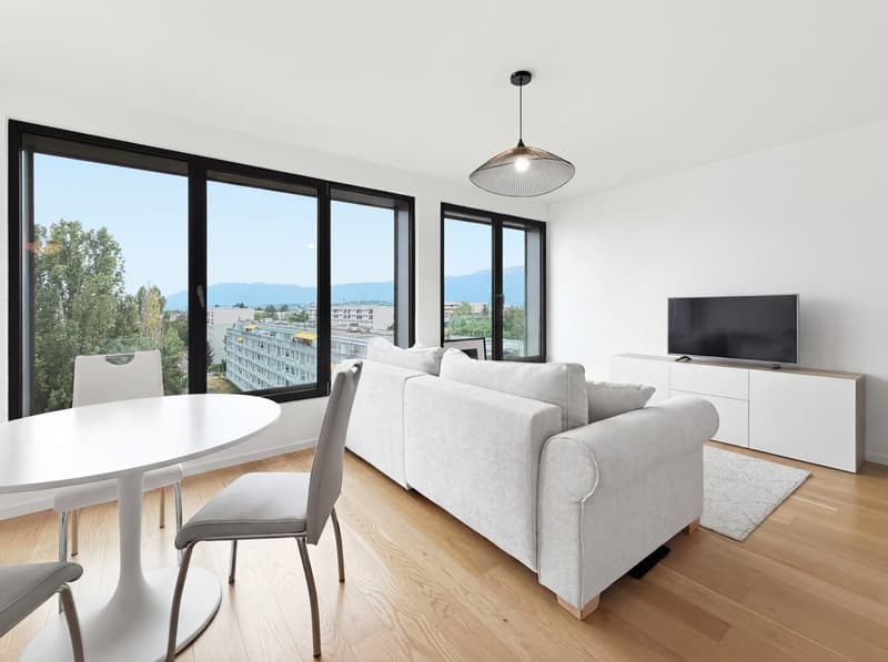 Magnifique appartement moderne - Dernier étage (1)