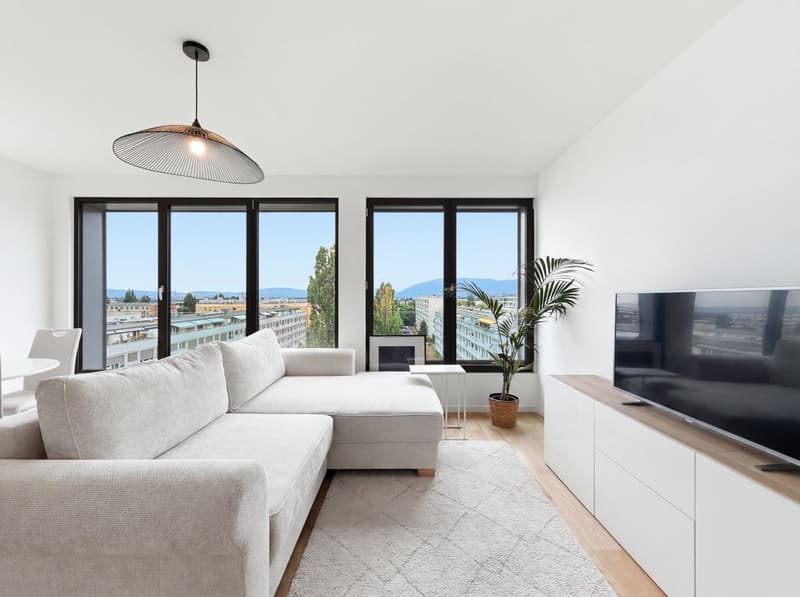 Magnifique appartement moderne - Dernier étage (13)