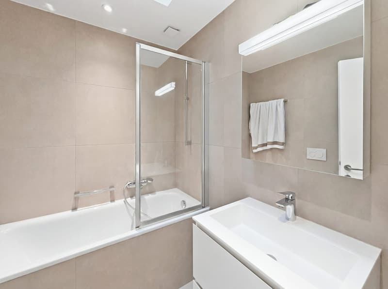 Magnifique appartement moderne - Dernier étage (7)