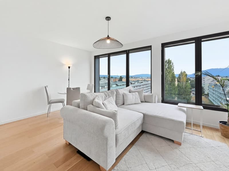 Magnifique appartement moderne - Dernier étage (11)