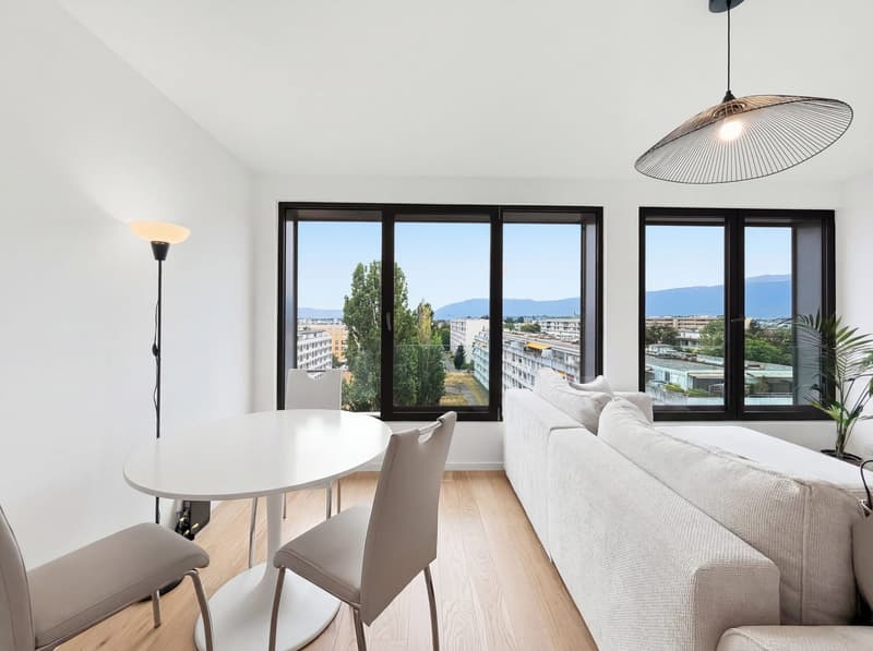 Magnifique appartement moderne - Dernier étage (4)