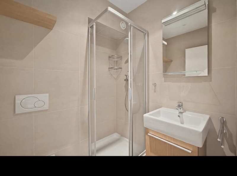 Superbe duplex meublé de 200 m² avec jardin privatif et terrasse – Chambésy (8)