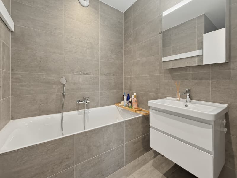 Appartement meublé de standing en rez-de-jardin (14)