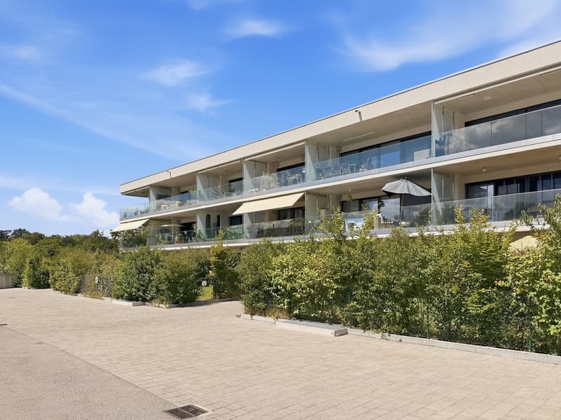Rare ! Studio avec jardin et parking à Thônex (10)