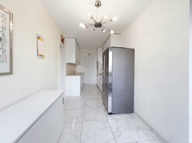 Lumineux appartement meublé de 3 pièces avec balcon – Route de Florissant, Genève (15)