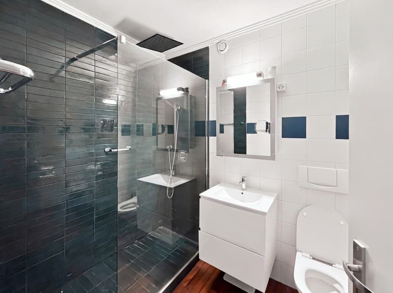 Appartement de 4 pièces meublé – Quartier des Eaux-Vives (13)